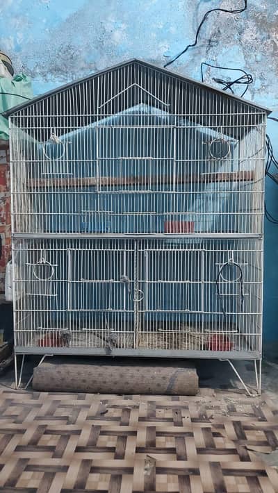 bird cage