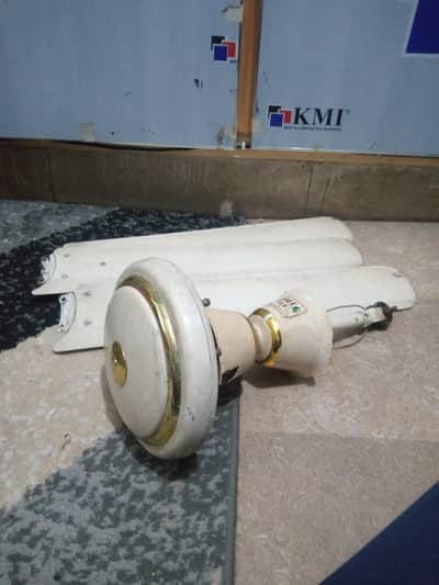 Original Pak Fan Heavy Model | 56 Inch | Pure Copper | Urgent Sale