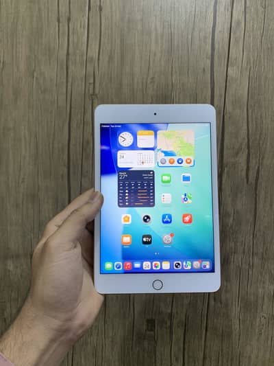 Ipad Mini 5 256Gb