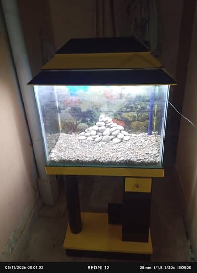 Fresh New Aquarium
