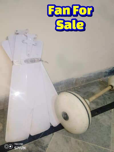 Ceiling Fan For Sale