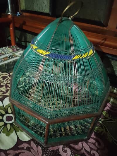 Titar pinjra for sell with good condition