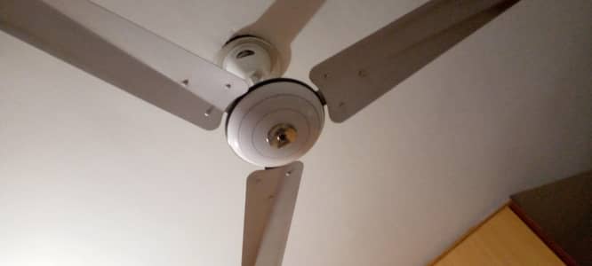 used fans