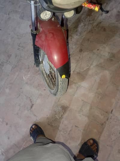 2013 pridor  03427574998