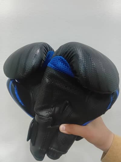 boxing bag and gloves