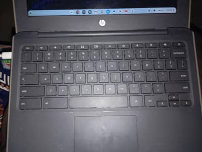 hp Chromebook