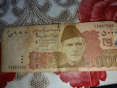 5000rs Note with 295 Starting!!!