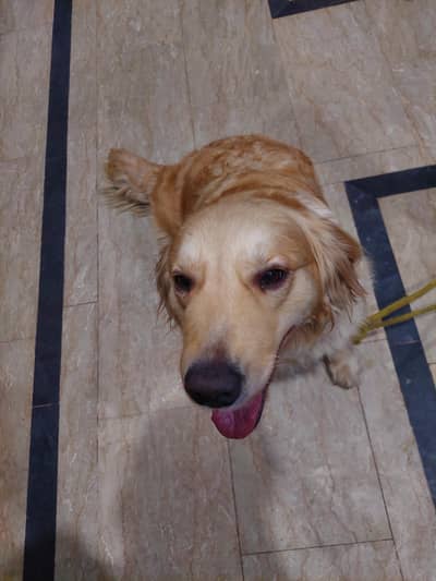 jis ko chaiya bus wohe rapta kra