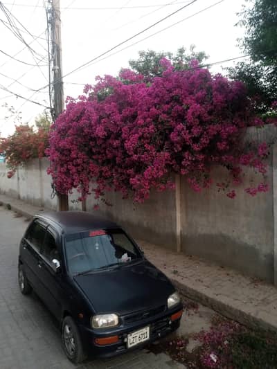 Daihatsu Cuore for urgent sale