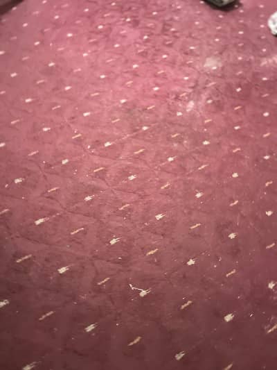 Carpet in good condition