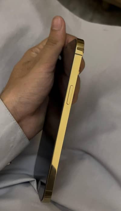 iPhone 12 pro max factory unlock