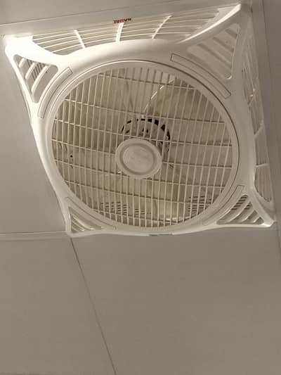 False ceiling fans Royal