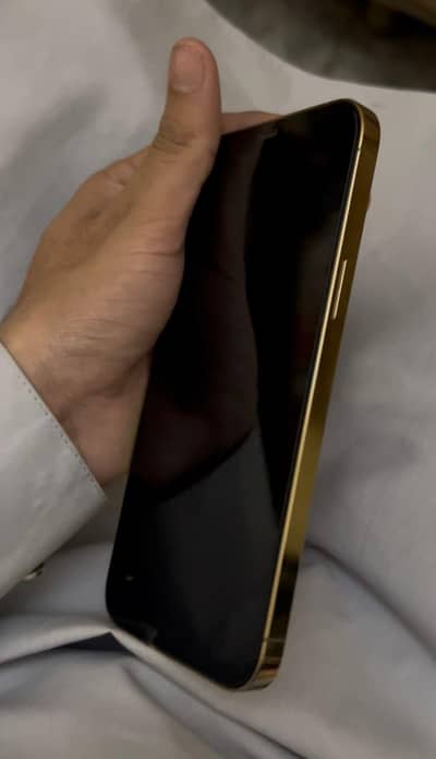 iPhone 12 pro max factory unlock