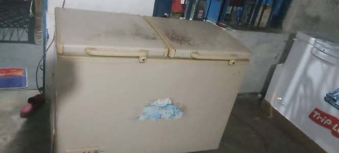 Icee best fridge for 20 years best working low electricity consumtion