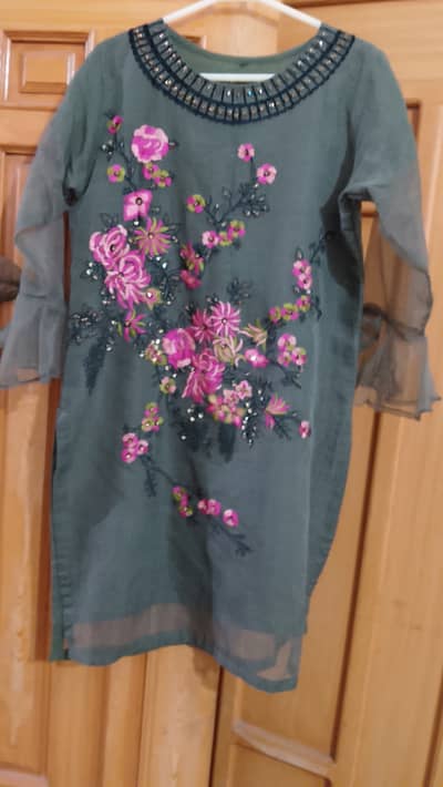 Beautiful embroided Shirt