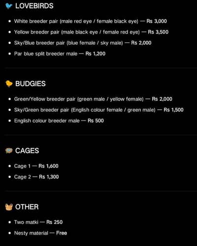 lovebirds and budgie