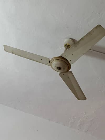 03 fans for sale