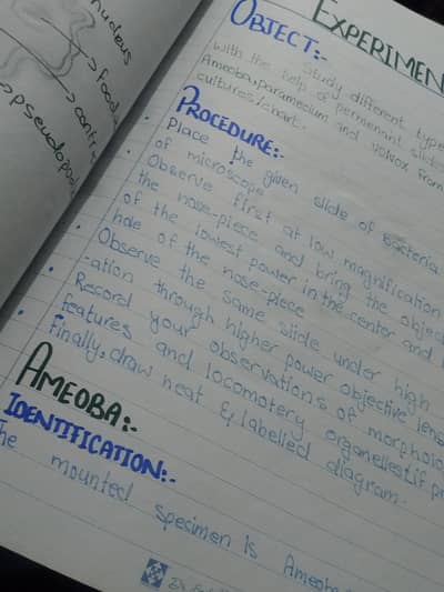 practical books  per price 800