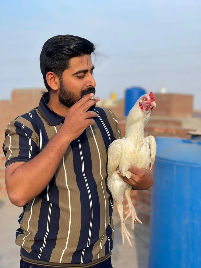 heera aseel bohat achi quality mn — photo 6