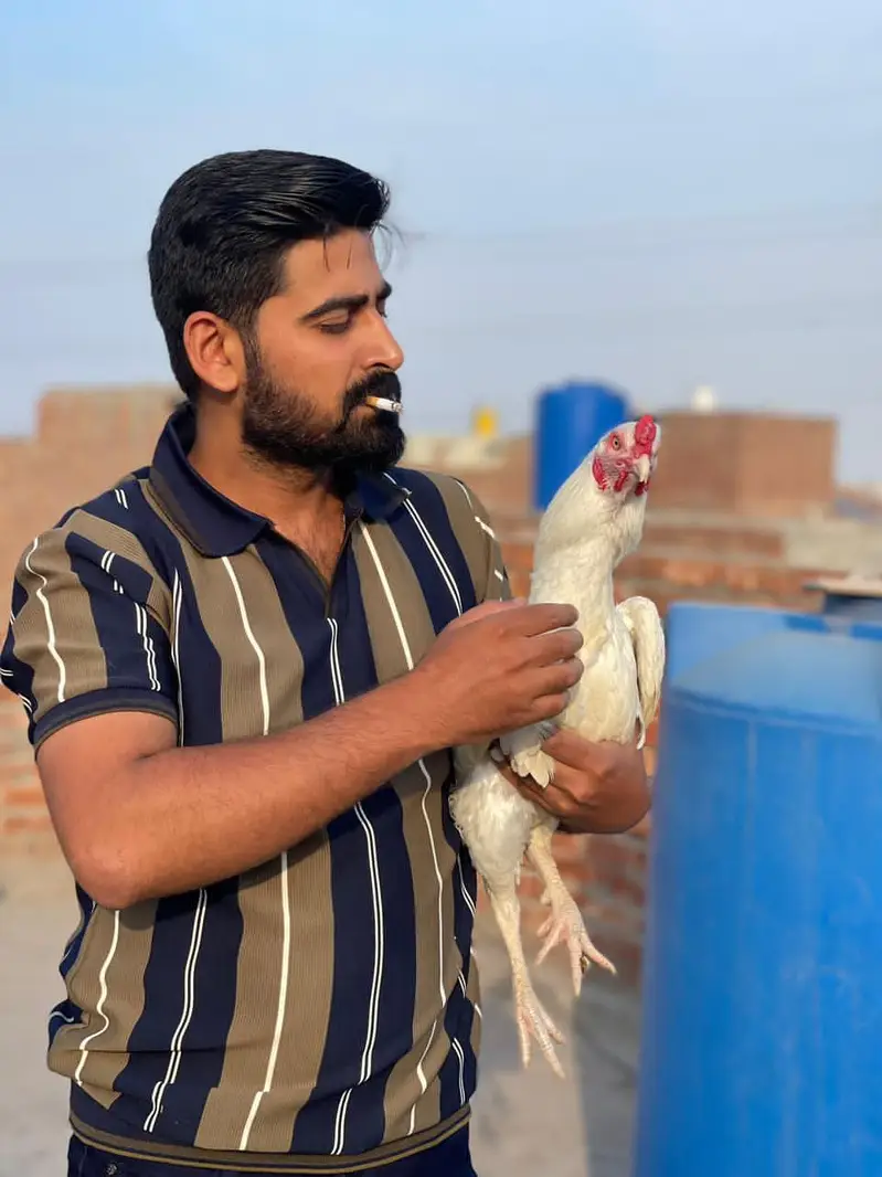 heera aseel bohat achi quality mn — photo 7