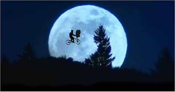 Import Export Manager 25 Year experience