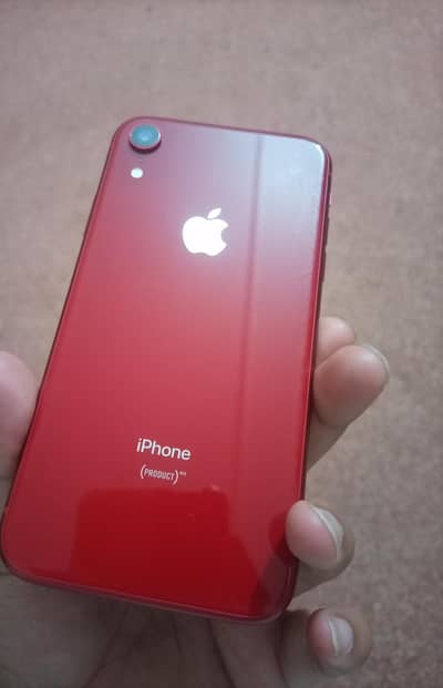 iphone xr lush condition all ok no fault