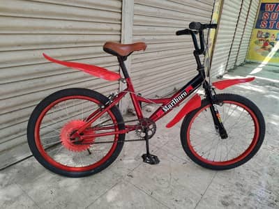 morgan bicycle size 20 All okay just like a new cycle 03188264599