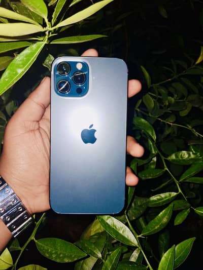 Iphone 12 pro max pta approved