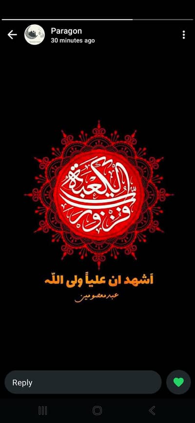 i m expert driver and personal bodyguard