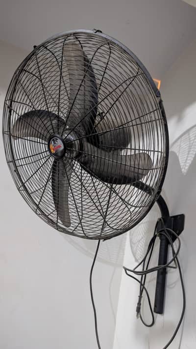 Royal Bracket Fan