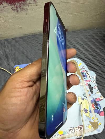 I phone 12 pro max FU