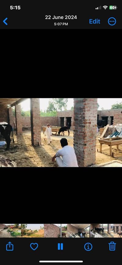 ١٩ مرلہ ڈیری فارم گہنیکئ نذر رایونڈ لاہور