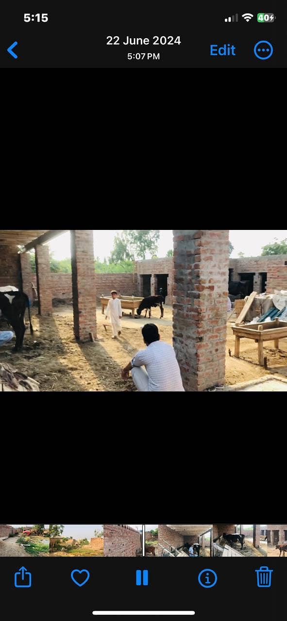 ١٩ مرلہ ڈیری فارم گہنیکئ نذر رایونڈ لاہور 0