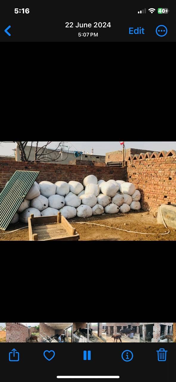 ١٩ مرلہ ڈیری فارم گہنیکئ نذر رایونڈ لاہور 13