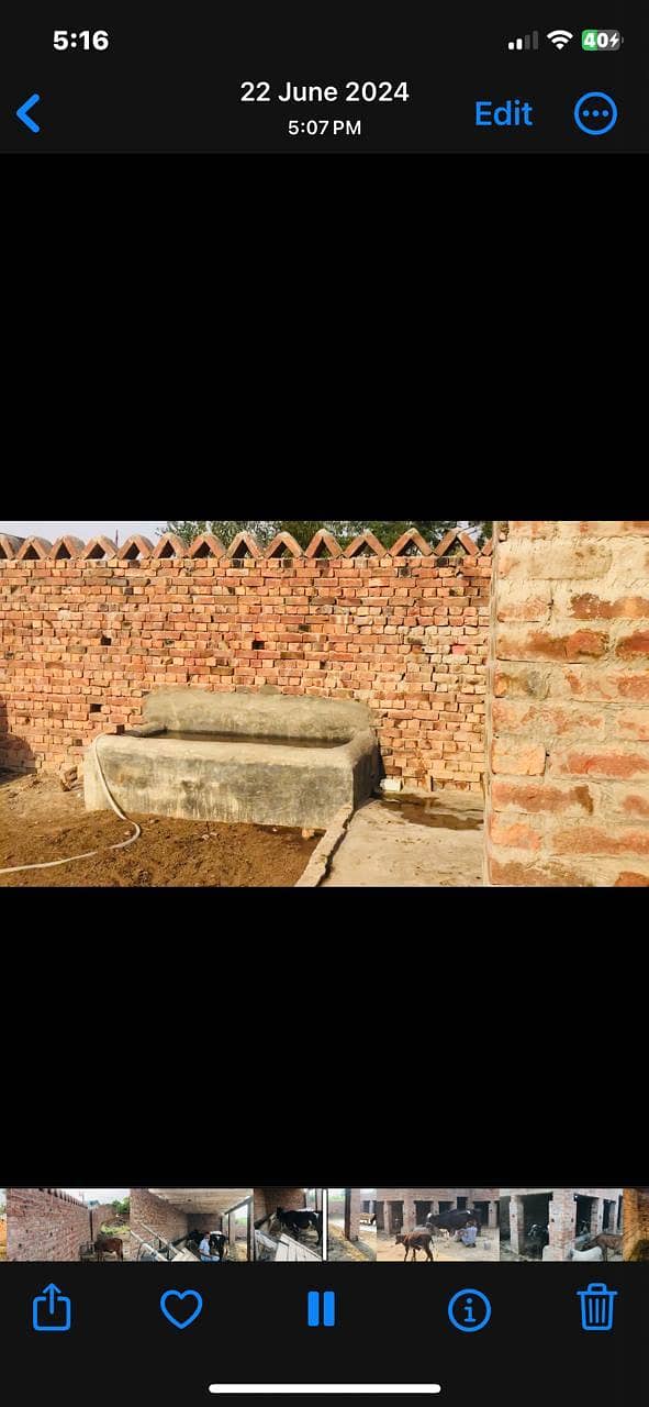 ١٩ مرلہ ڈیری فارم گہنیکئ نذر رایونڈ لاہور 14