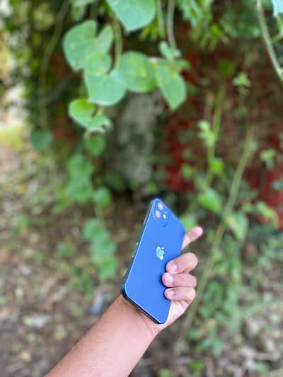 iPhone 12 10/9 condition