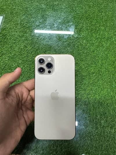 iphone 12 pro max Pta approved