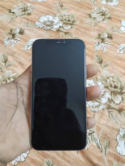 iPhone 11 Pro 256 GB