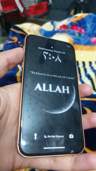 xr converted to 17 pro jazz sim glitch working