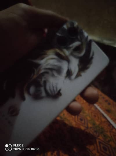 moto g 2024 5g + vigotel flax 2