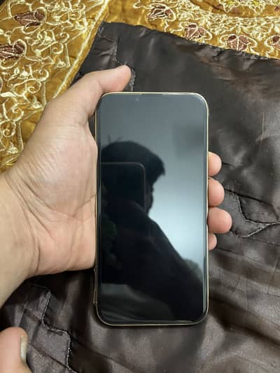 13 pro max pta approved