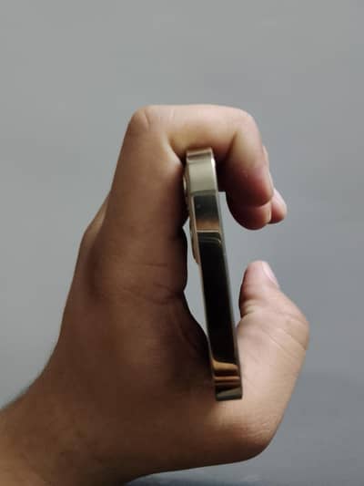 iphone 12 pro pta approved