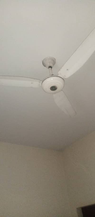 Fan for sale
