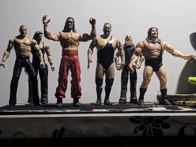 WWE Action Figures Vintage Collection for Sale