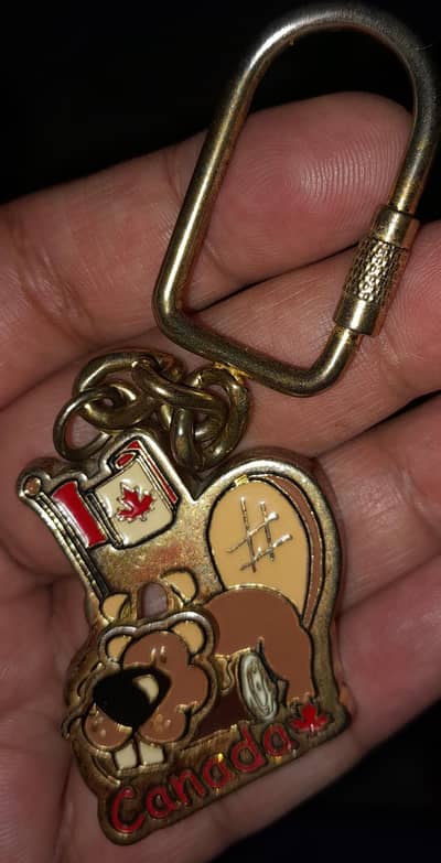 Key holder means key chain