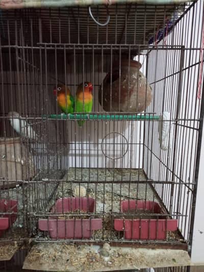 Fisher pair with cage