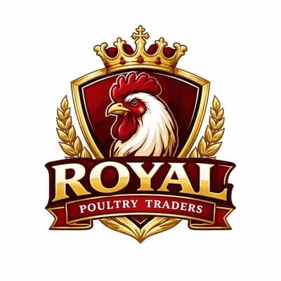 Bulk Chicken Supply – Fresh & Hygienic | Order Now