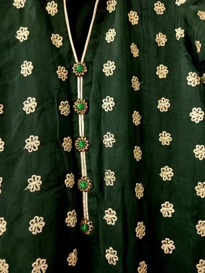 Brand New Pure Chiffon Embroidery Dress