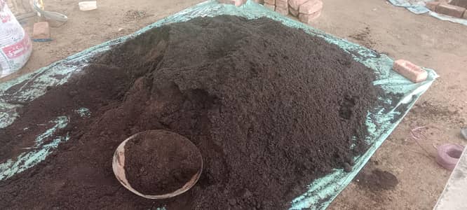 Vermi Compost - Organic