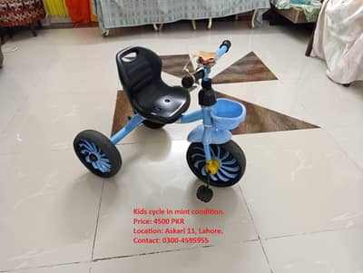 Kids Battery Car/Battery Bike/Manual Car/Cycle